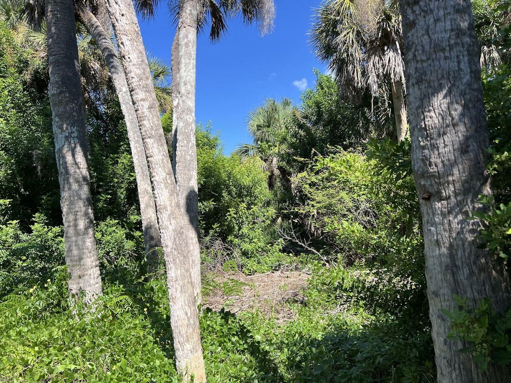 Image 5 of property listing at 10049 HEL-LEW COURT, Placida, FL 33946