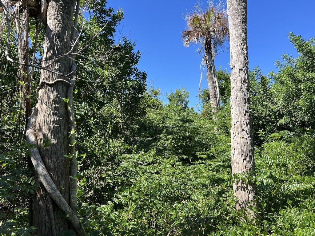 Image 6 of property listing at 10049 HEL-LEW COURT, Placida, FL 33946