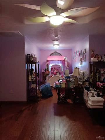 322 N Charco Blanco Road, Rio Grande City, TX 78582