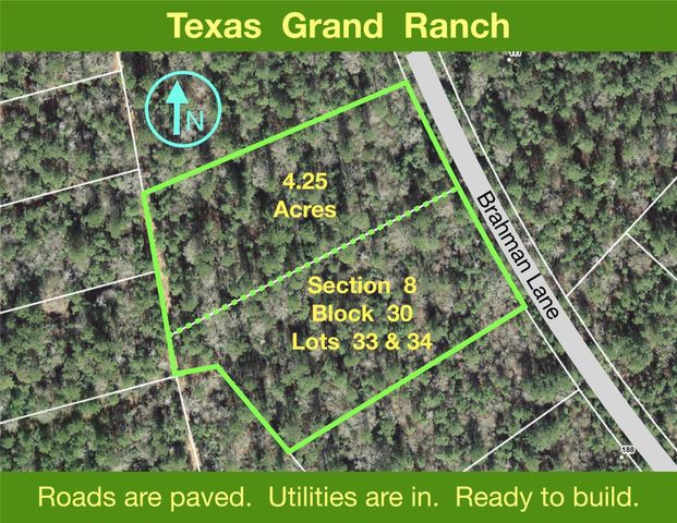 8-30-33, 34 Brahman Lane, New Waverly, TX 77358