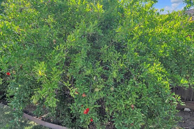 190 Fennel Court, Morgan Hill, CA 95037