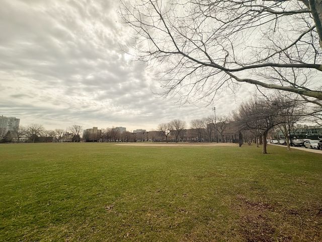 3021 S Michigan Avenue 306, Chicago, IL 60616