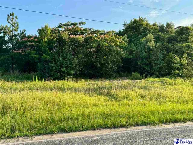 3511 Covington Rd, Marion, SC 29571