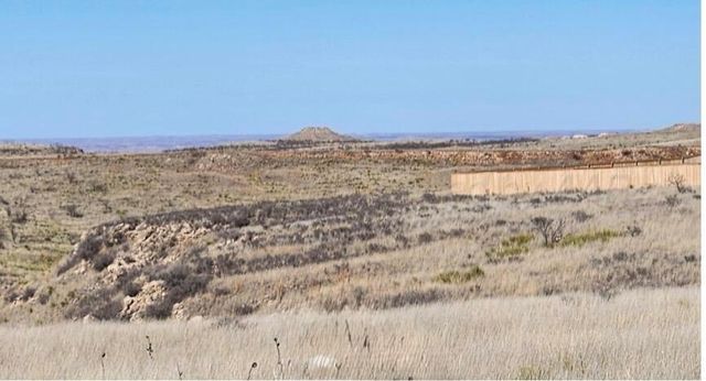 1651 BLAKELY HOLLOW, Amarillo, TX 79124