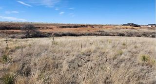 1651 BLAKELY HOLLOW, Amarillo, TX 79124