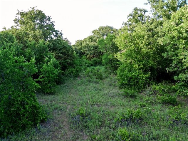 TBD Rambling Road, Graford, TX 76486