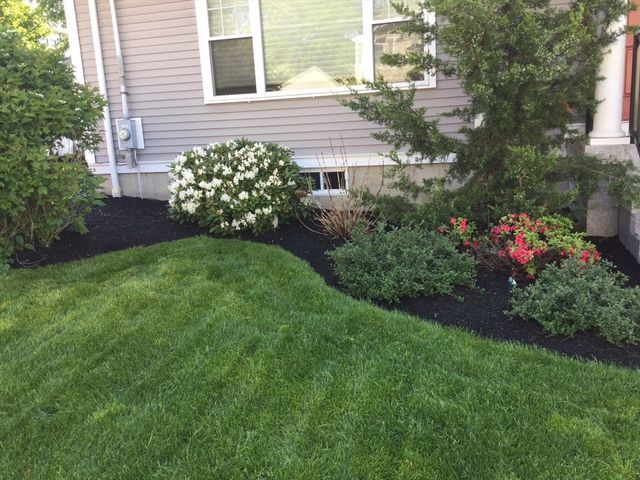 3 Oakley Rd 3, Watertown, MA 02472