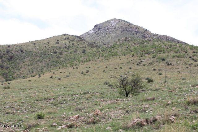 037 Desperado Drive 20, Hereford, AZ 85615