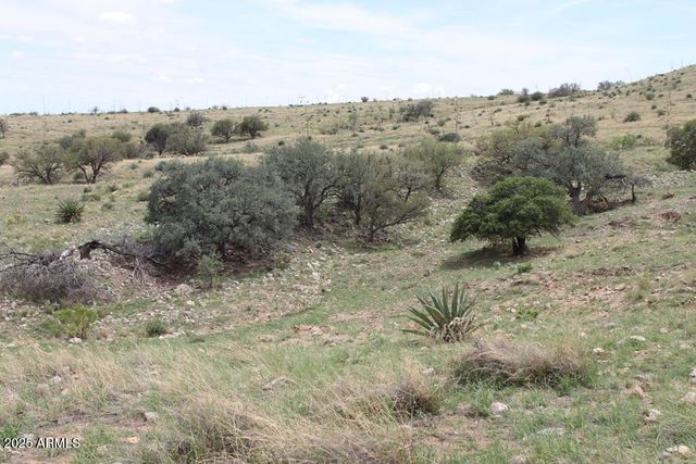 037 Desperado Drive 20, Hereford, AZ 85615