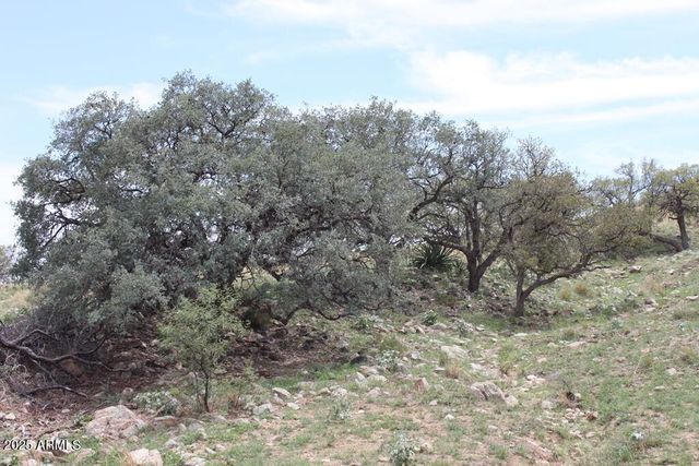 037 Desperado Drive 20, Hereford, AZ 85615