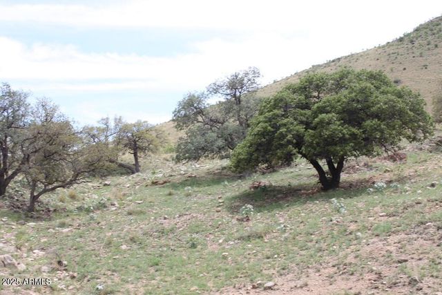 037 Desperado Drive 20, Hereford, AZ 85615