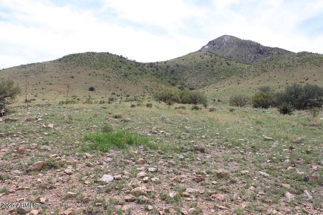 037 Desperado Drive 20, Hereford, AZ 85615