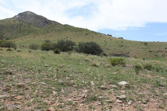 037 Desperado Drive 20, Hereford, AZ 85615