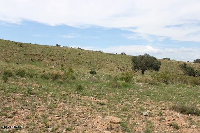 037 Desperado Drive 20, Hereford, AZ 85615