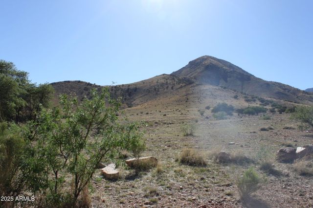 037 Desperado Drive 20, Hereford, AZ 85615