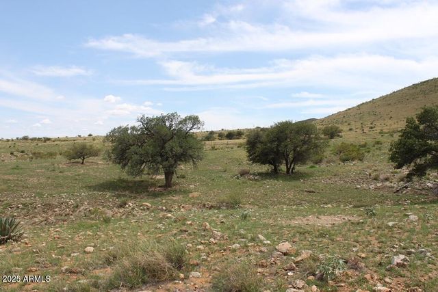 037 Desperado Drive 20, Hereford, AZ 85615