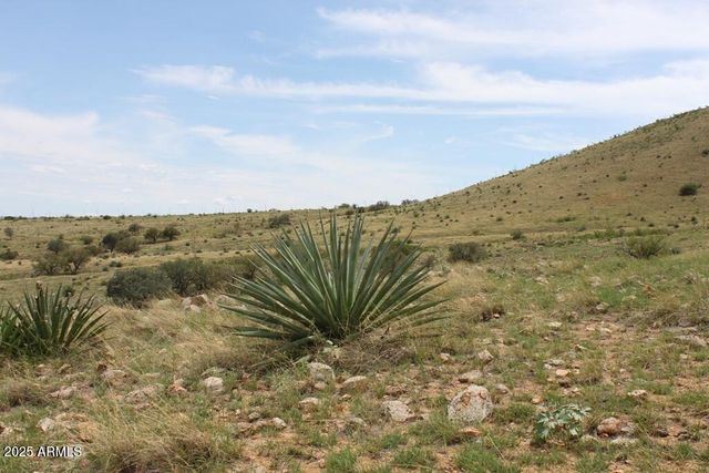 037 Desperado Drive 20, Hereford, AZ 85615