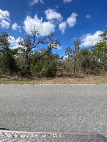 14312 Dusky Warbler Road, Brooksville, FL 34614