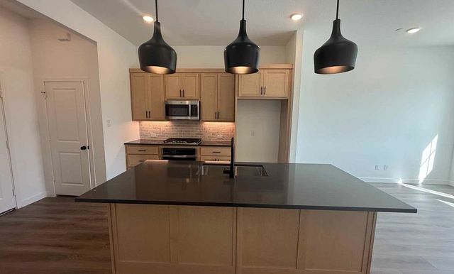 839 Pedernales Drive, Plano, TX 75075