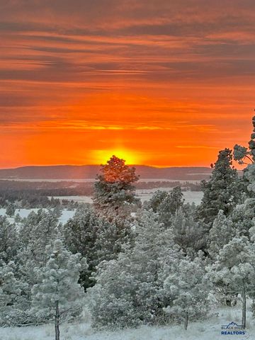 11405 HAWKRIGHT RD, Custer Sd, SD 57730