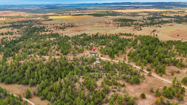 11405 HAWKRIGHT RD, Custer Sd, SD 57730