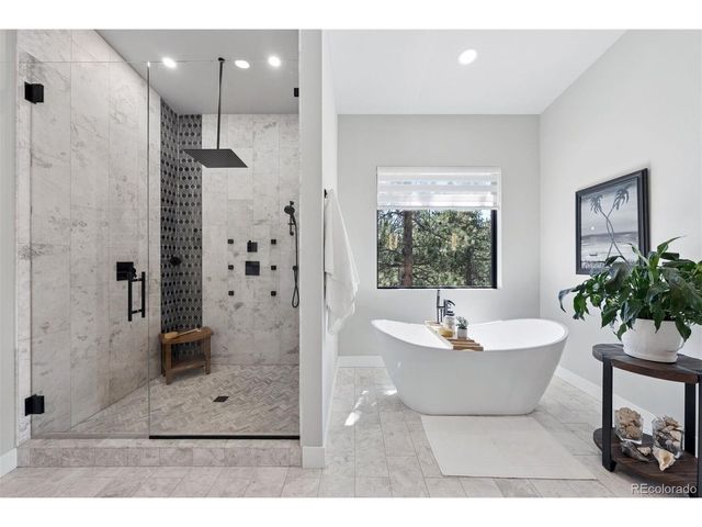 28248 Lone Elk Trl, Evergreen, CO 80439