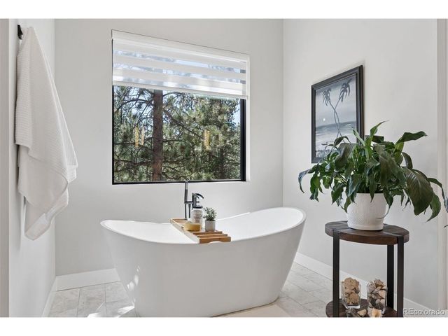 28248 Lone Elk Trl, Evergreen, CO 80439