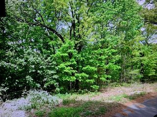 Lot 12 Thaxted Drive, Bella Vista, AR 72715