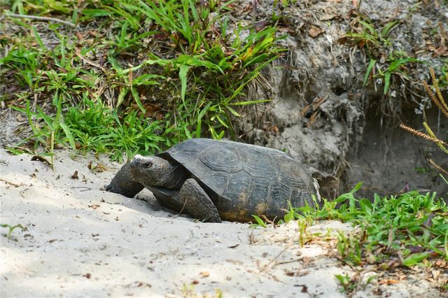 9000 US HIGHWAY 192 242, Clermont, FL 34714