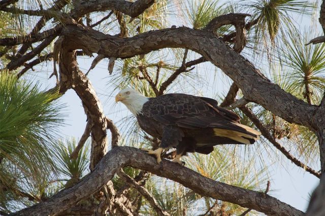 9000 US HIGHWAY 192 242, Clermont, FL 34714