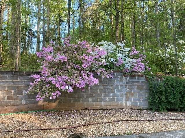 205 Carruth Road, Jefferson, GA 30549