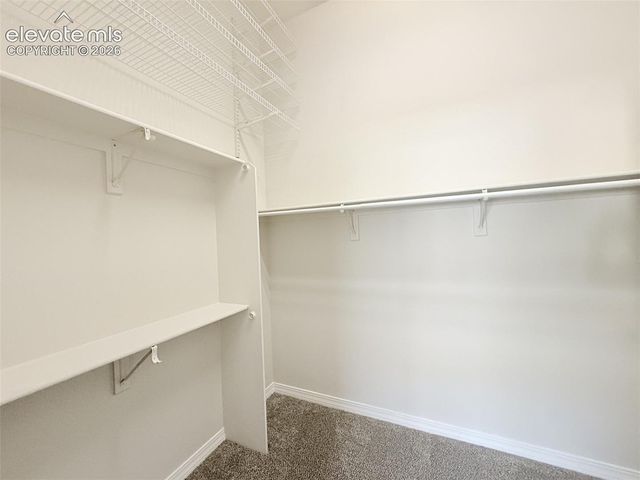 4376 Prestige Point, Colorado Springs, CO 80906