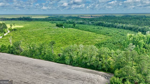 0 Bennett Mill Pond, Odum, GA 31555