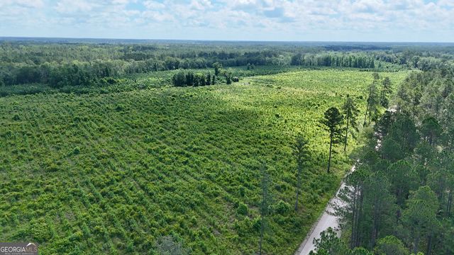 0 Bennett Mill Pond, Odum, GA 31555