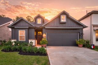 114 Longhorn Run Drive, Montgomery, TX 77356