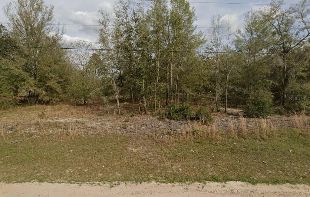 LOT 15 MARION AVENUE, Interlachen, FL 32148