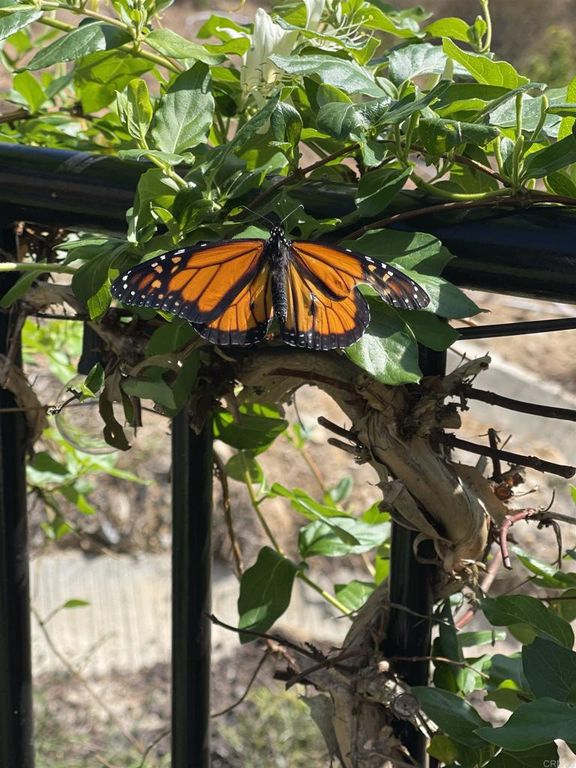 Image 71 of property listing at 2800 Dove Tail Drive, San Marcos, CA 92078