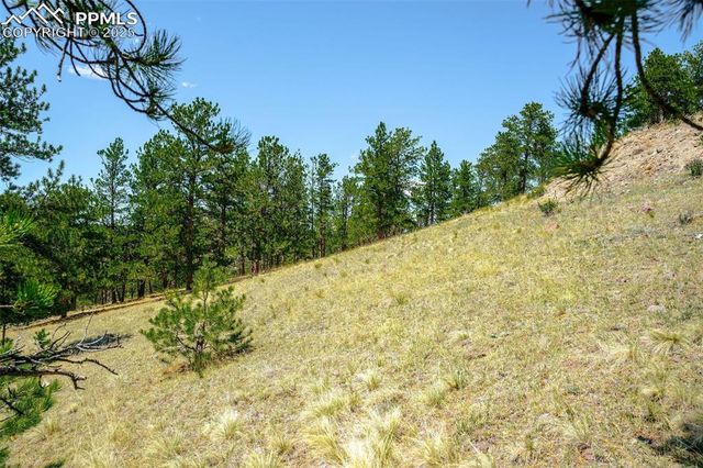 56 Dallas Park Circle, Florissant, CO 80816