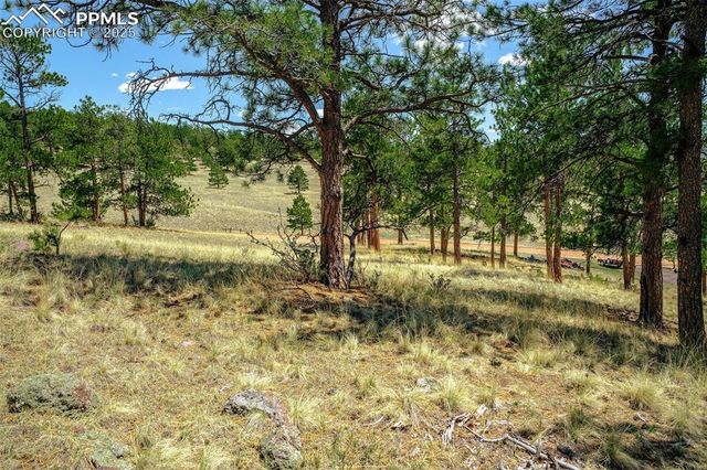 56 Dallas Park Circle, Florissant, CO 80816