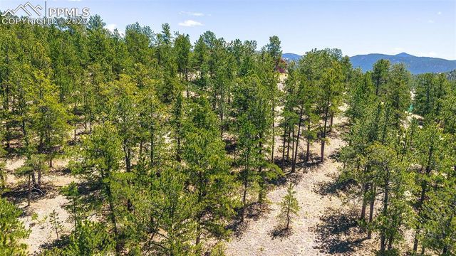 56 Dallas Park Circle, Florissant, CO 80816