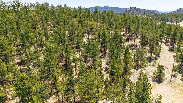 56 Dallas Park Circle, Florissant, CO 80816