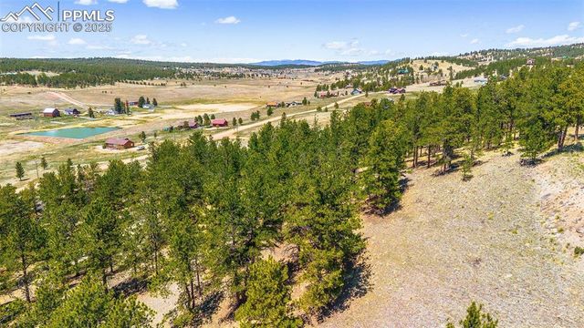 56 Dallas Park Circle, Florissant, CO 80816
