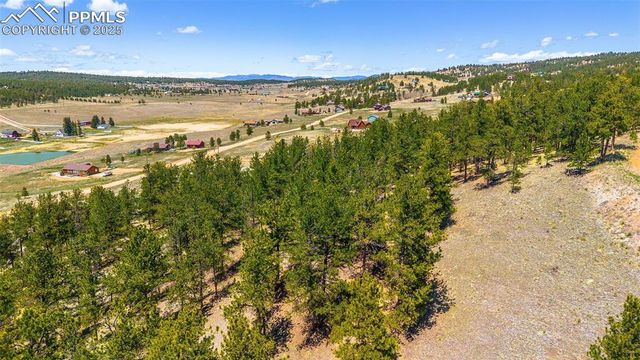 56 Dallas Park Circle, Florissant, CO 80816
