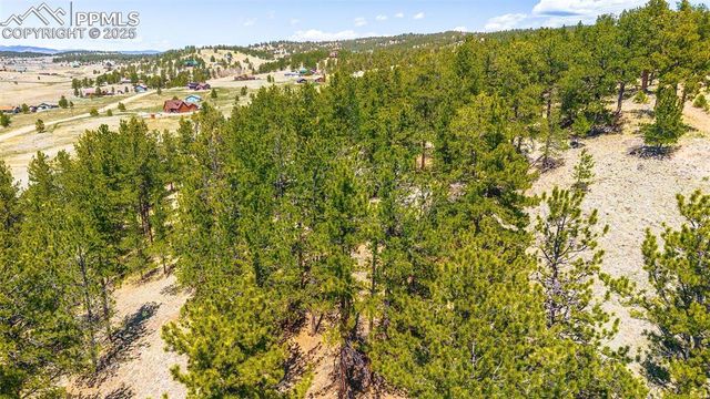 56 Dallas Park Circle, Florissant, CO 80816