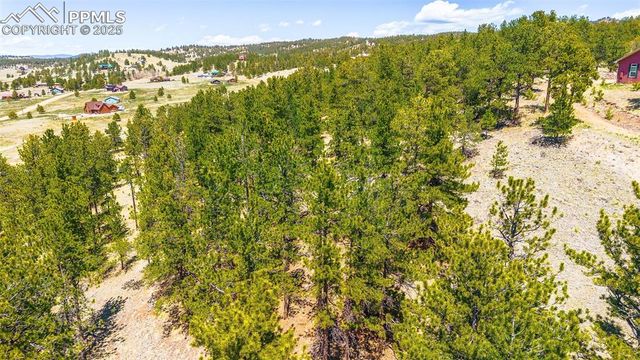 56 Dallas Park Circle, Florissant, CO 80816