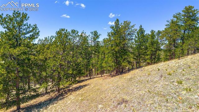 56 Dallas Park Circle, Florissant, CO 80816