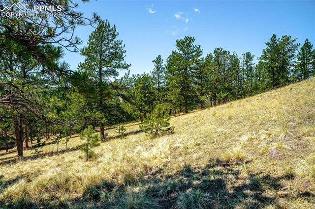 56 Dallas Park Circle, Florissant, CO 80816
