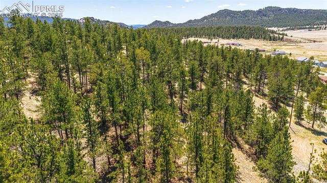 56 Dallas Park Circle, Florissant, CO 80816