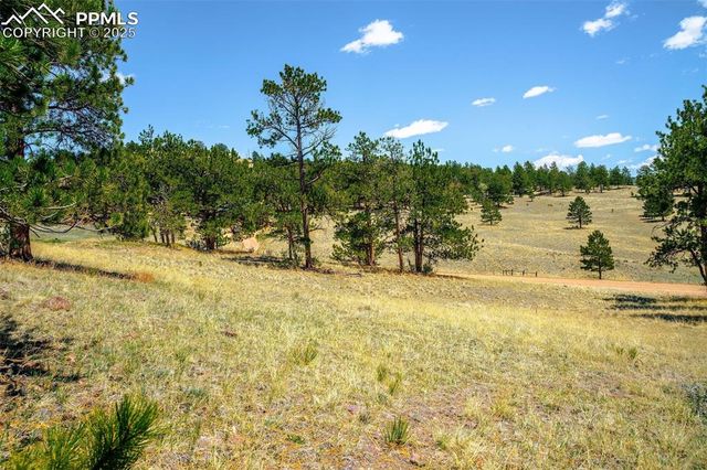 56 Dallas Park Circle, Florissant, CO 80816