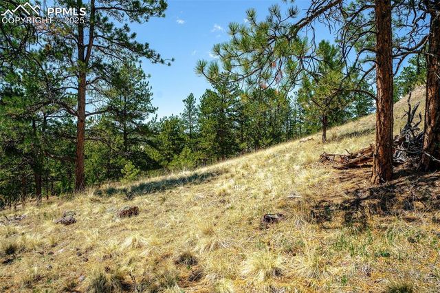 56 Dallas Park Circle, Florissant, CO 80816